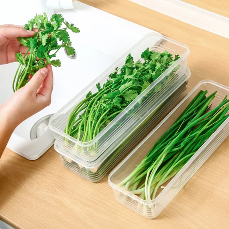 Sealed Fridge Crisper Box for Scallions & Herbs | 29cm Food Storage Container Qme