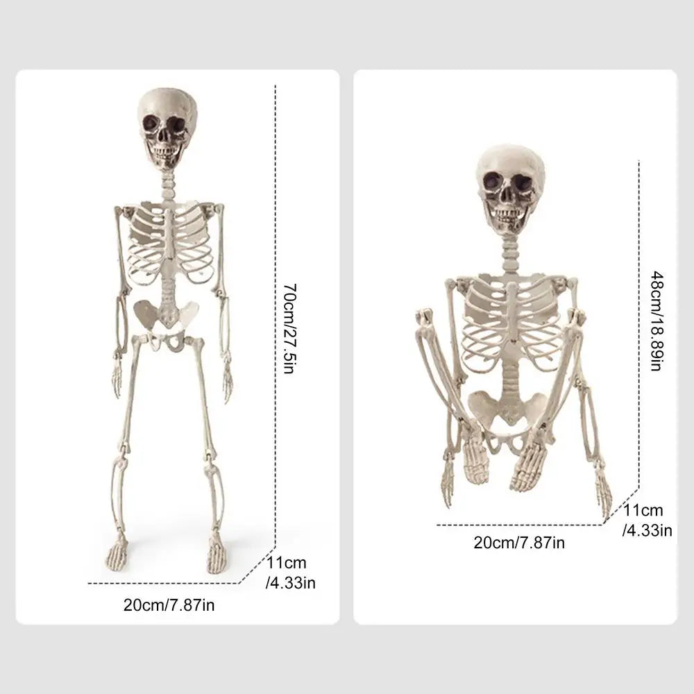 Halloween 2ft Outdoor Skeleton Skull Prop – Resin Bone Decor Halloween Skeleton Prop Qme 70cm China Mainland