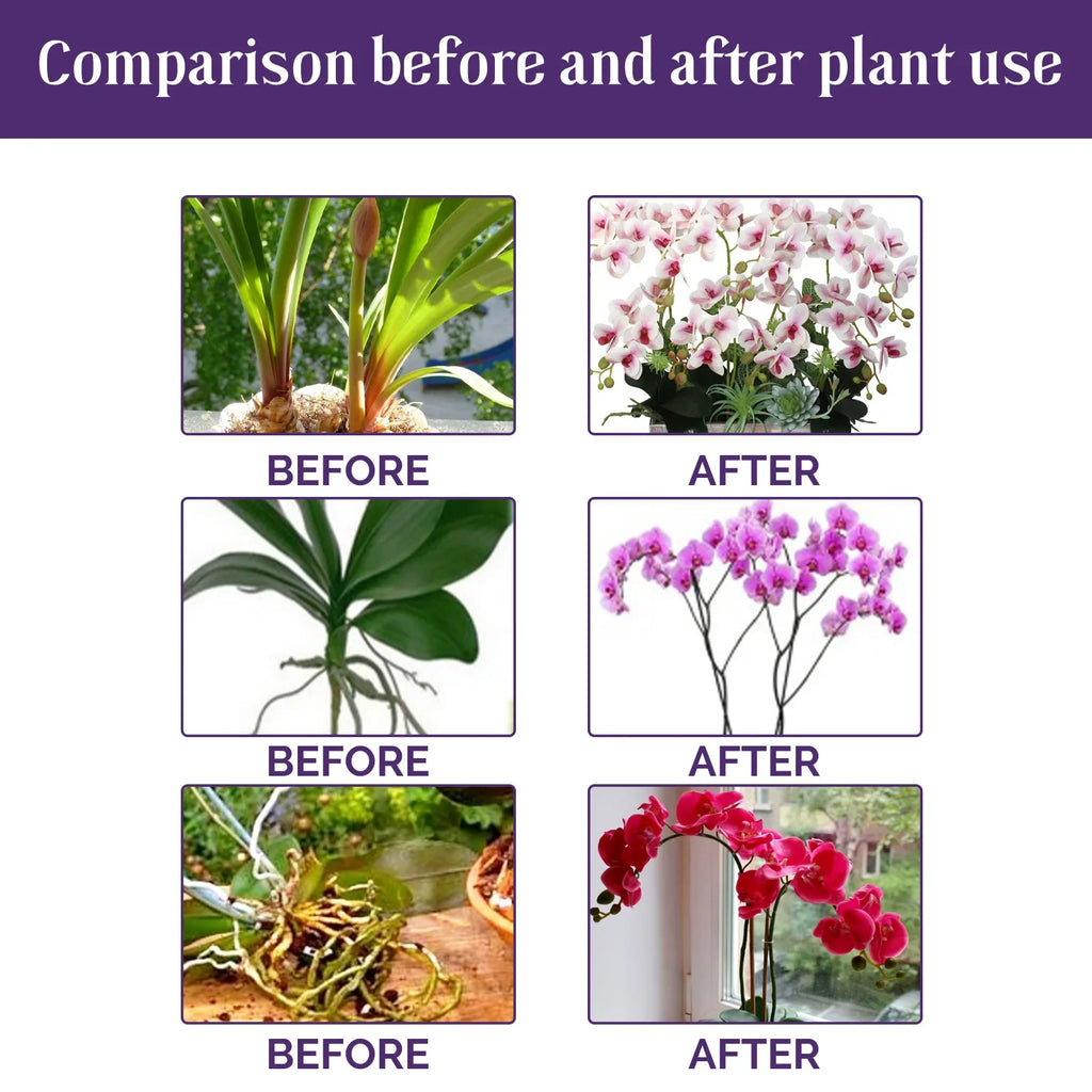 Orchid Liquid Fertilizer 50ml – Fast-Absorbing Plant Nutrient Liquid Plant Fertilizer Qst