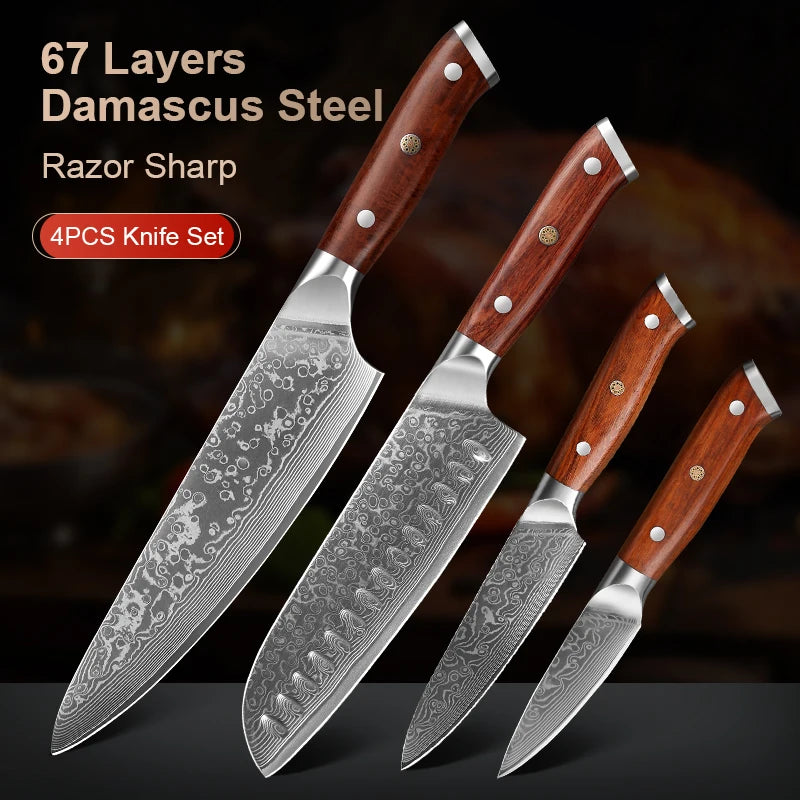 4-Piece Damascus Steel Knife Set – 67-Layer Rosewood Handle Damascus Knife Set Qst
