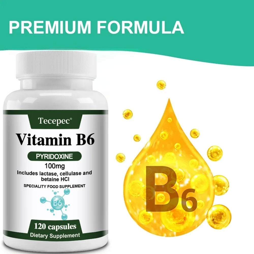 ZENVITALIZE Vitamin B6 Capsules – Non-GMO, Vegetarian Vitamin B6 Supplement Qst