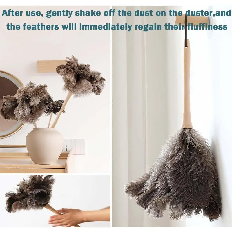 Natural Ostrich Feather Duster with Handle – Fluffy & Reusable Feather Duster Qme