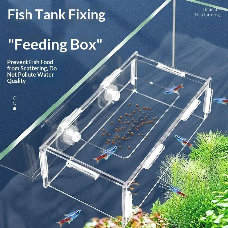 Acrylic Fixed-Point Fish Feeder – Anti-Drift Aquarium Hanging Aquarium Fish Feeder Qme