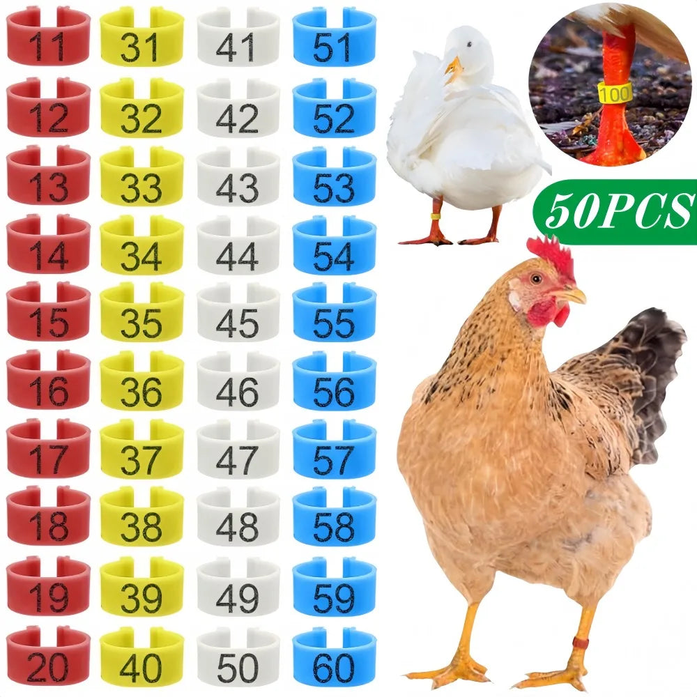 Numbered Multicolor Poultry Leg Rings for Chickens, Quail & Turkeys Poultry Leg Rings Qme
