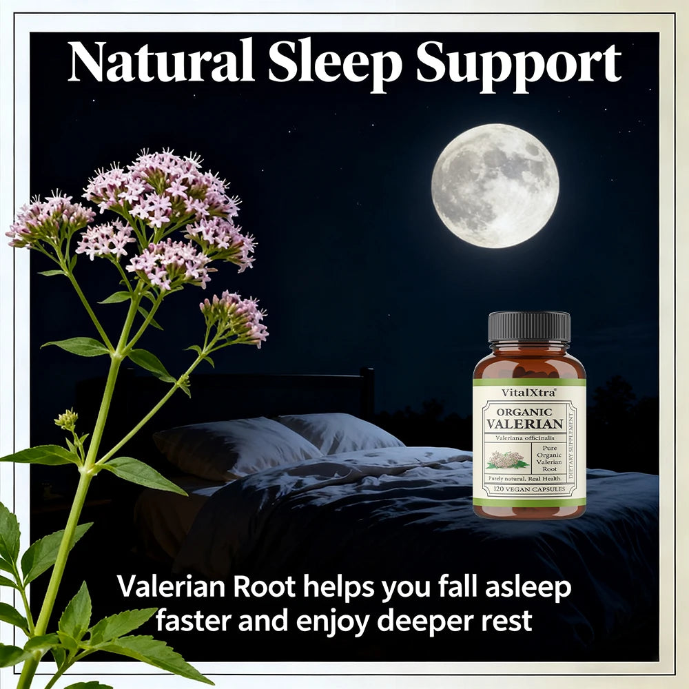 Valerian Root Capsules 450mg – Vegan Sleep & Calm Support Herbal Sleep Supplement Qst
