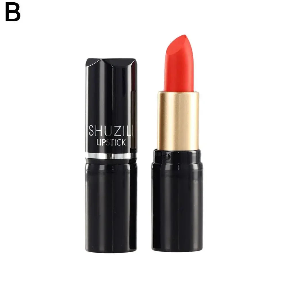 Mini Velvet Matte Lipstick – Smooth Long-Lasting Lip Color Matte Tube Lipstick Qme 02 CN