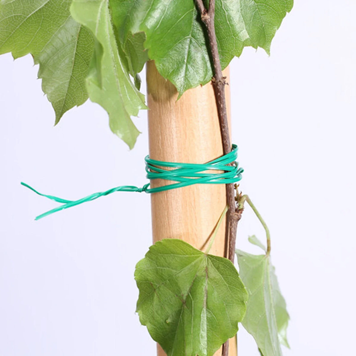 Reusable Green Garden Twist Ties with Cutter – 20–100m Garden Twist Ties Qme