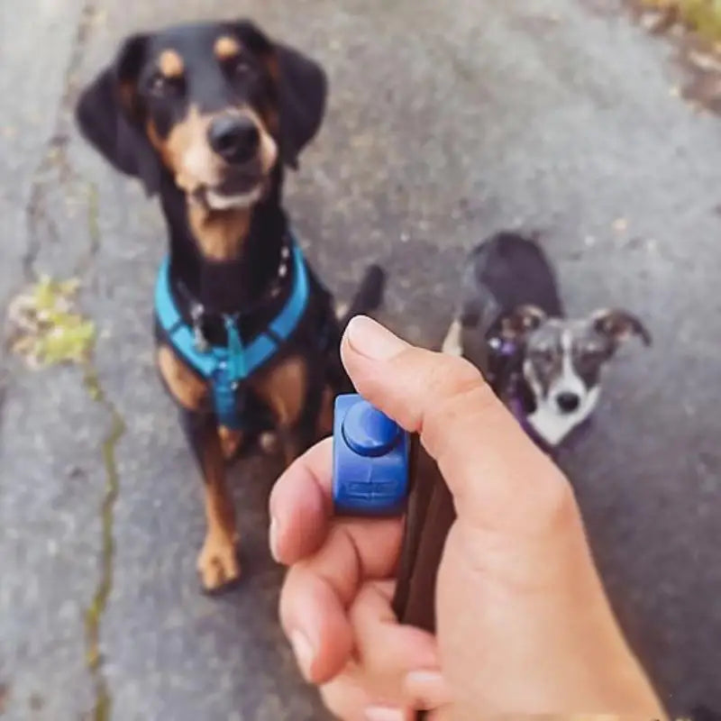 Pet Ring Finger Clicker – Mini Stainless Steel Dog Training Tool Pet Training Clicker Qst