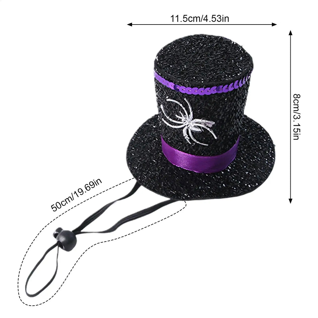 Halloween Witch Hat Spider Pet Costume for Dogs & Cats Pet Halloween Costume Qme