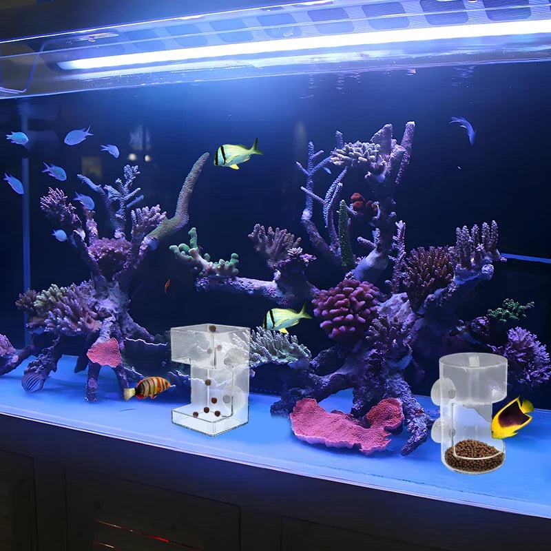 Aquarium Fish Feeder Dish Tray with Suction Cup – Acrylic Aquarium Fish Feeder Qme