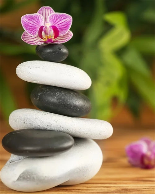 Green Bamboo Zen Stone Canvas Wall Art – Unframed Print Canvas Wall Art Qst 17 20x30cm Unframed