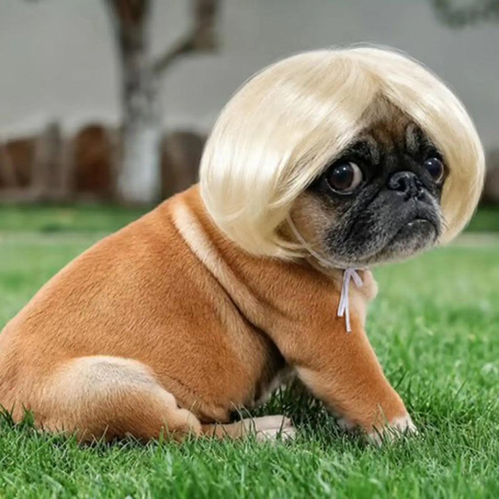 Funny Cat & Dog Wig Bangs Adjustable Pet Halloween Costume Pet Costume Wig Qme