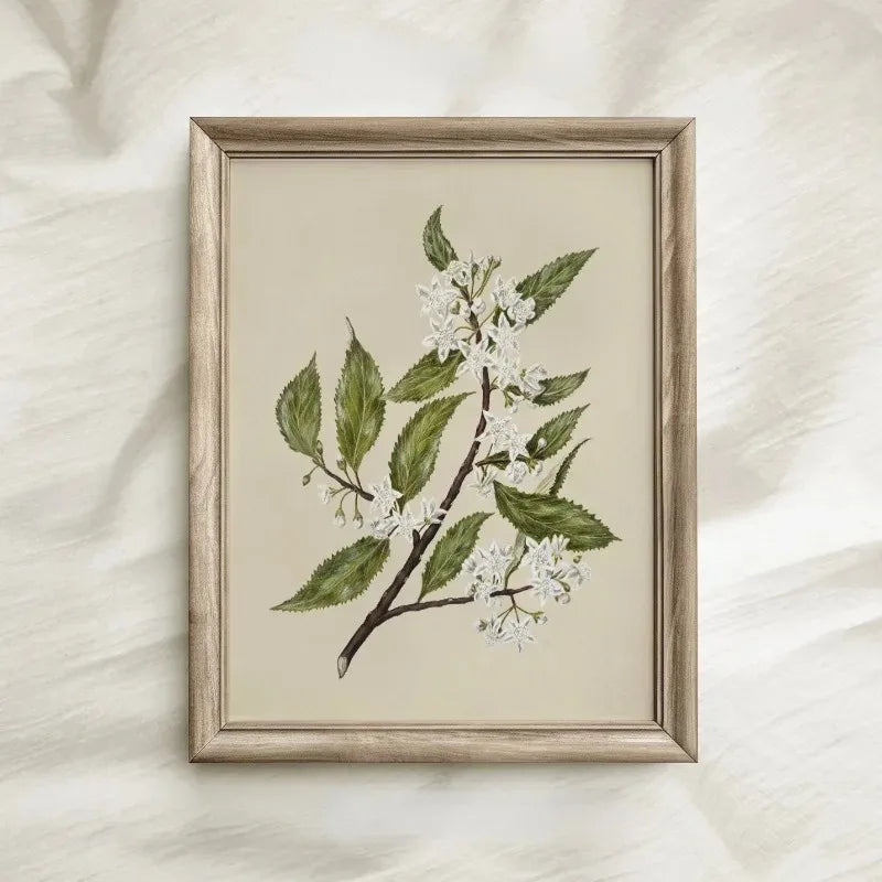 Vintage Botanical Floral Canvas Wall Art Print | Home Decor Canvas Wall Art Qst
