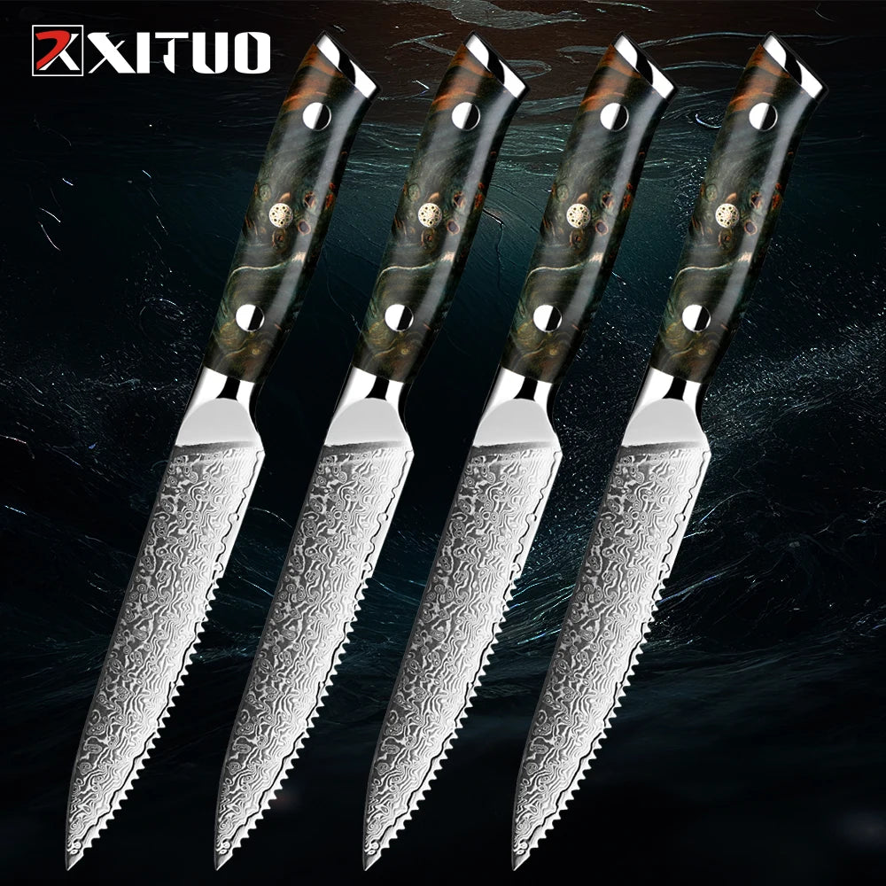 XITUO Damascus Steel Steak Knives Set – 5 Inch Sharp Dinner Knife Steak Knife Set Qst 4 PCS Steak knife