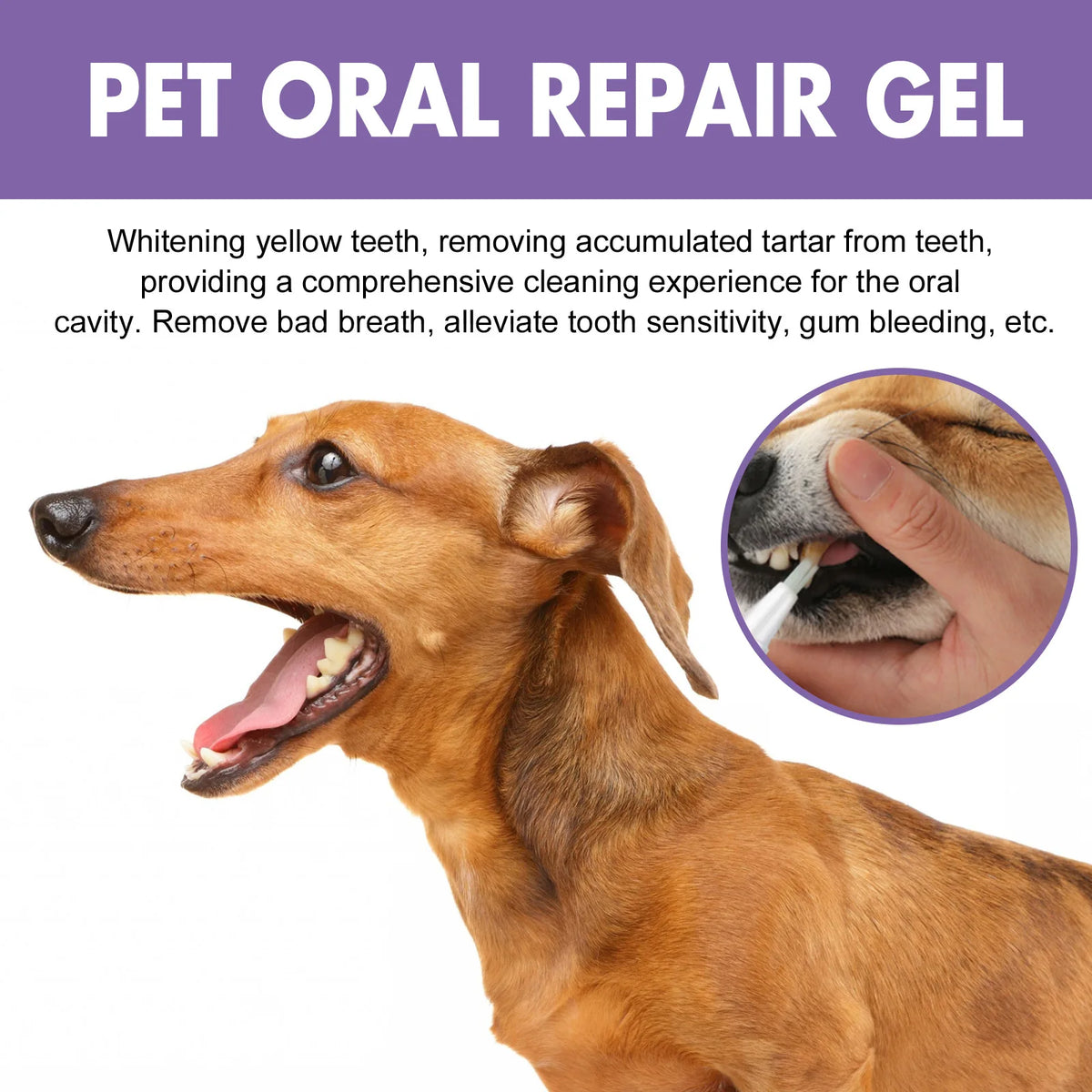 Pet Oral Gel – Dog & Cat Tartar Remover, Teeth Whitener Pet Dental Gel Qme
