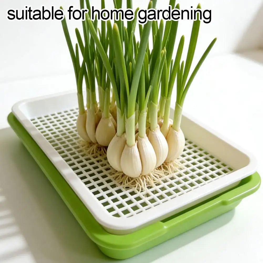 Soilless Seedling Sprouter Tray | Hydroponic Seed Germination Hydroponic Sprouting Tray Qme