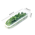 Sealed Fridge Crisper Box for Scallions & Herbs | 29cm Food Storage Container Qme 1PCS