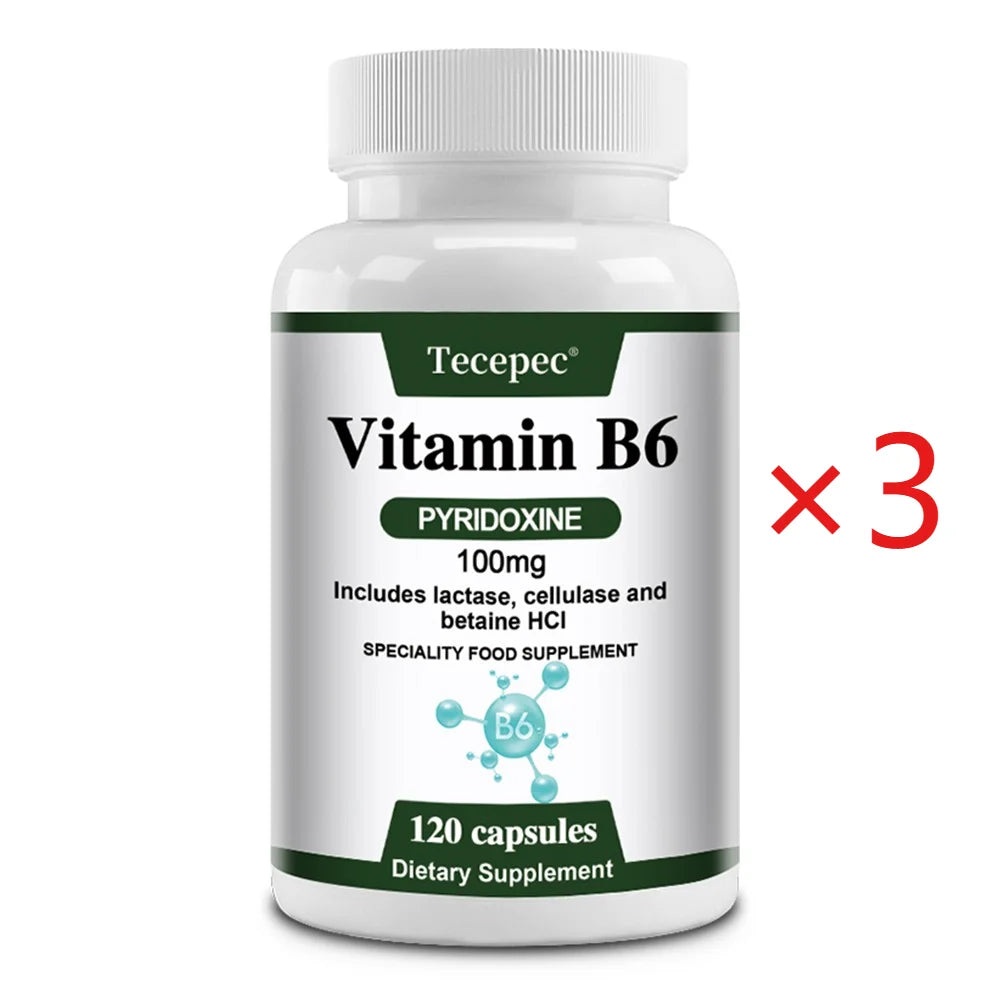 ZENVITALIZE Vitamin B6 Capsules – Non-GMO, Vegetarian Vitamin B6 Supplement Qst 120 count-3 bottle
