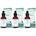 Liver Support Liquid Drops 30ml – Dendrobium & Mullein Extract Herbal Liquid Supplement Qst 90ml(Pack of 3)