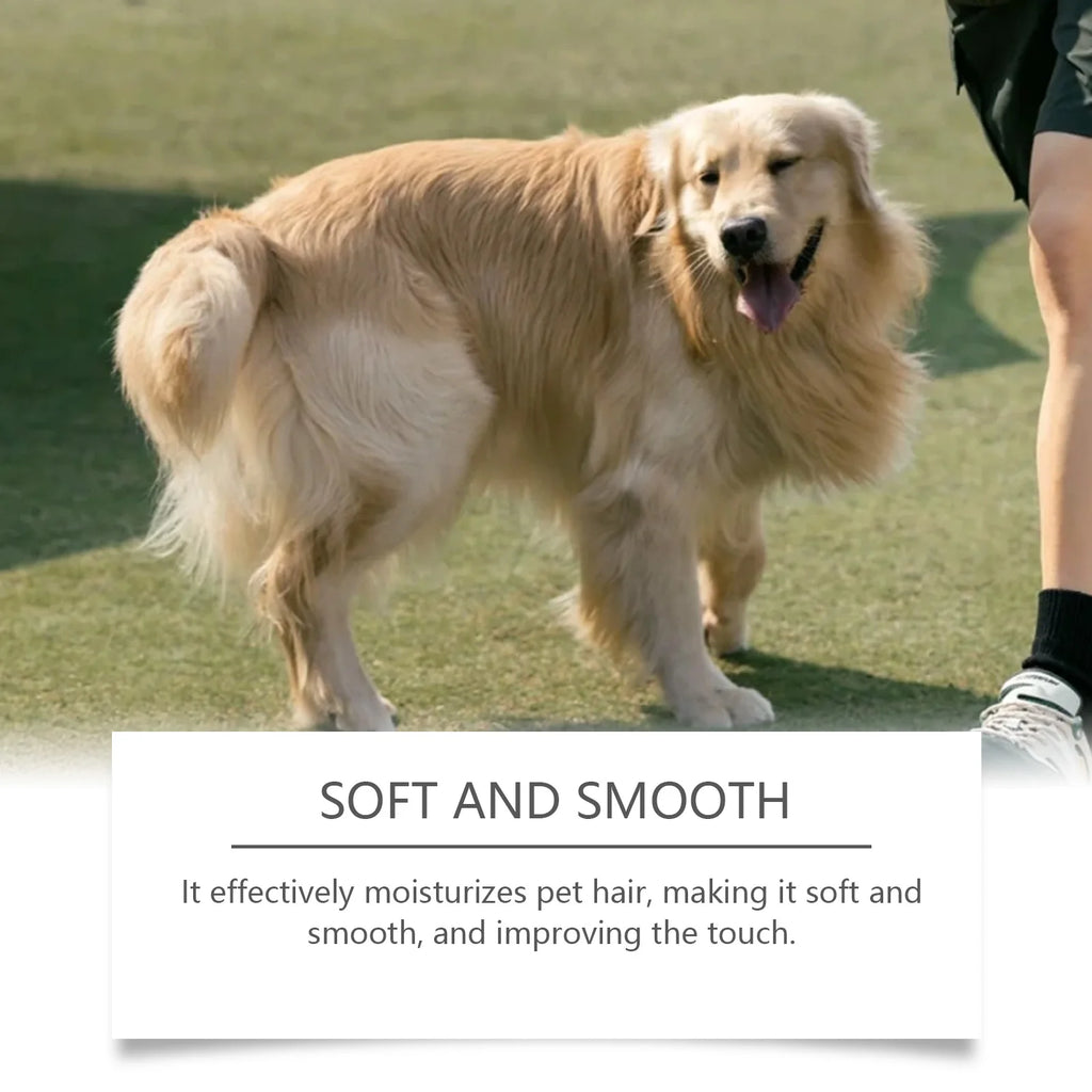 YEGBONG Dog Cologne Spray – Baby Powder Scent & Odor Control Pet Grooming Spray Qst