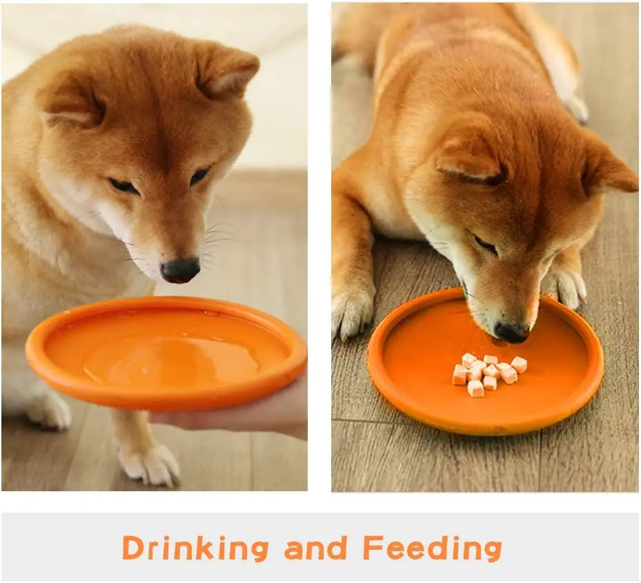 Durable Rubber Dog Frisbee – Interactive Outdoor Fetch Toy Dog Fetch Toy Qme