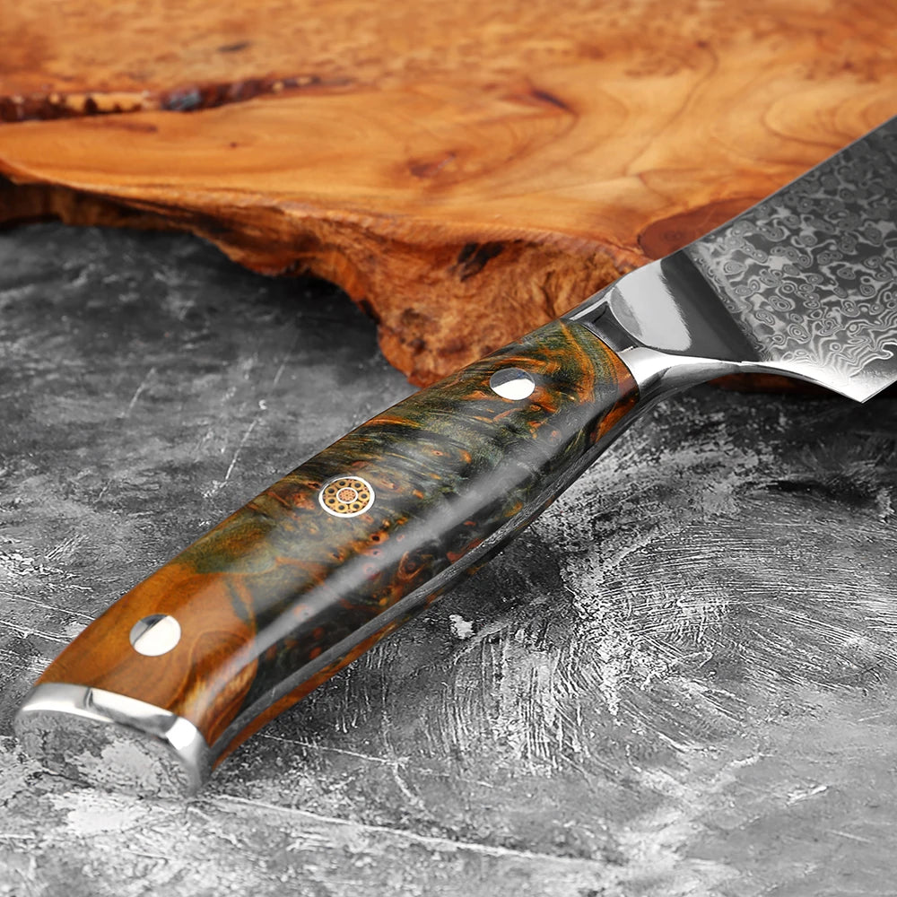 XITUO Damascus Kitchen Knife Set 1-6PCS – Santoku & Boning Kitchen Knife Set Qst