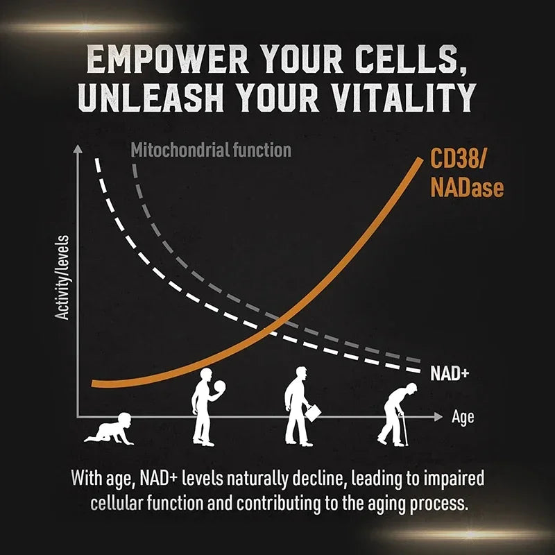 Liposomal NAD Supplement 1800mg – Cellular Health & Stamina NAD Supplement Qst