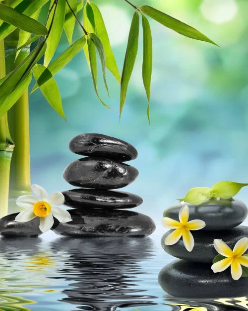 Green Bamboo Zen Stone Canvas Wall Art – Unframed Print Canvas Wall Art Qst