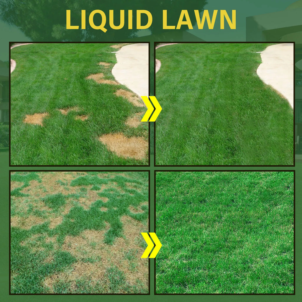 Green Grass Lawn Spray Liquid Paint – Seeding & Repair Lawn Greening Spray Qme