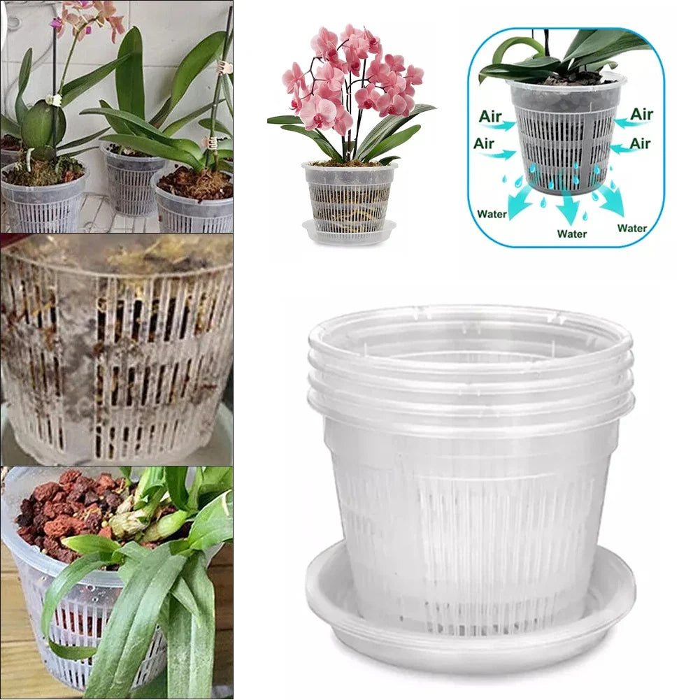 Clear Nursery Pots with Saucers | Orchid & Plant Pots Nursery Planter Pots Qme Default Title