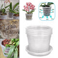 Clear Nursery Pots with Saucers | Orchid & Plant Pots Nursery Planter Pots Qme Default Title