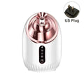 Nano Mist Face Steamer Cold Hot Facial Sauna Spa – Vilnason Facial Steamer Qst White US Plug