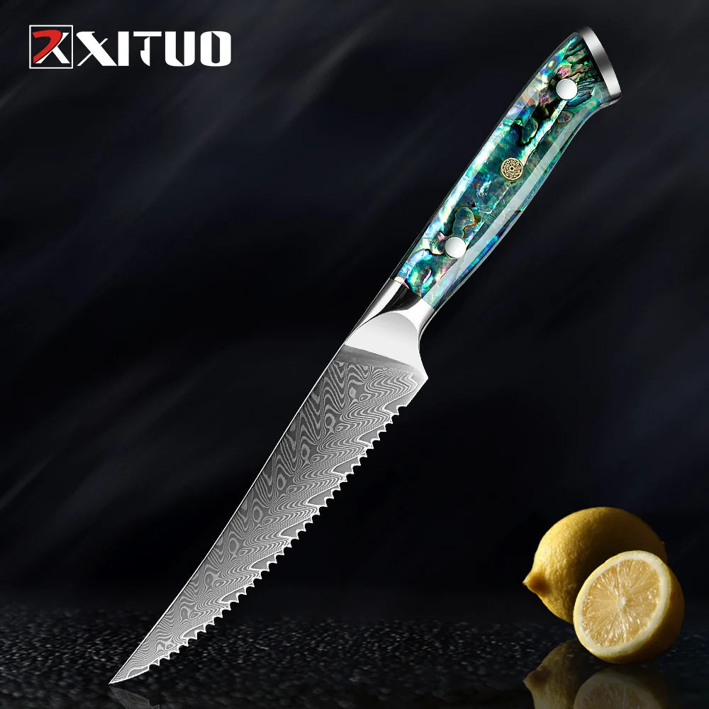 XITUO 67-Layer Damascus Steel Steak Knives – Abalone Handle Damascus Steak Knife Set Qst 1 PC Steak Knife