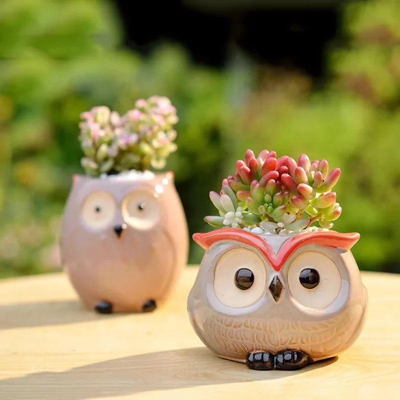 Mini Owl Ceramic Succulent Pot – Cute Animal Planter Décor Ceramic Planter Qst