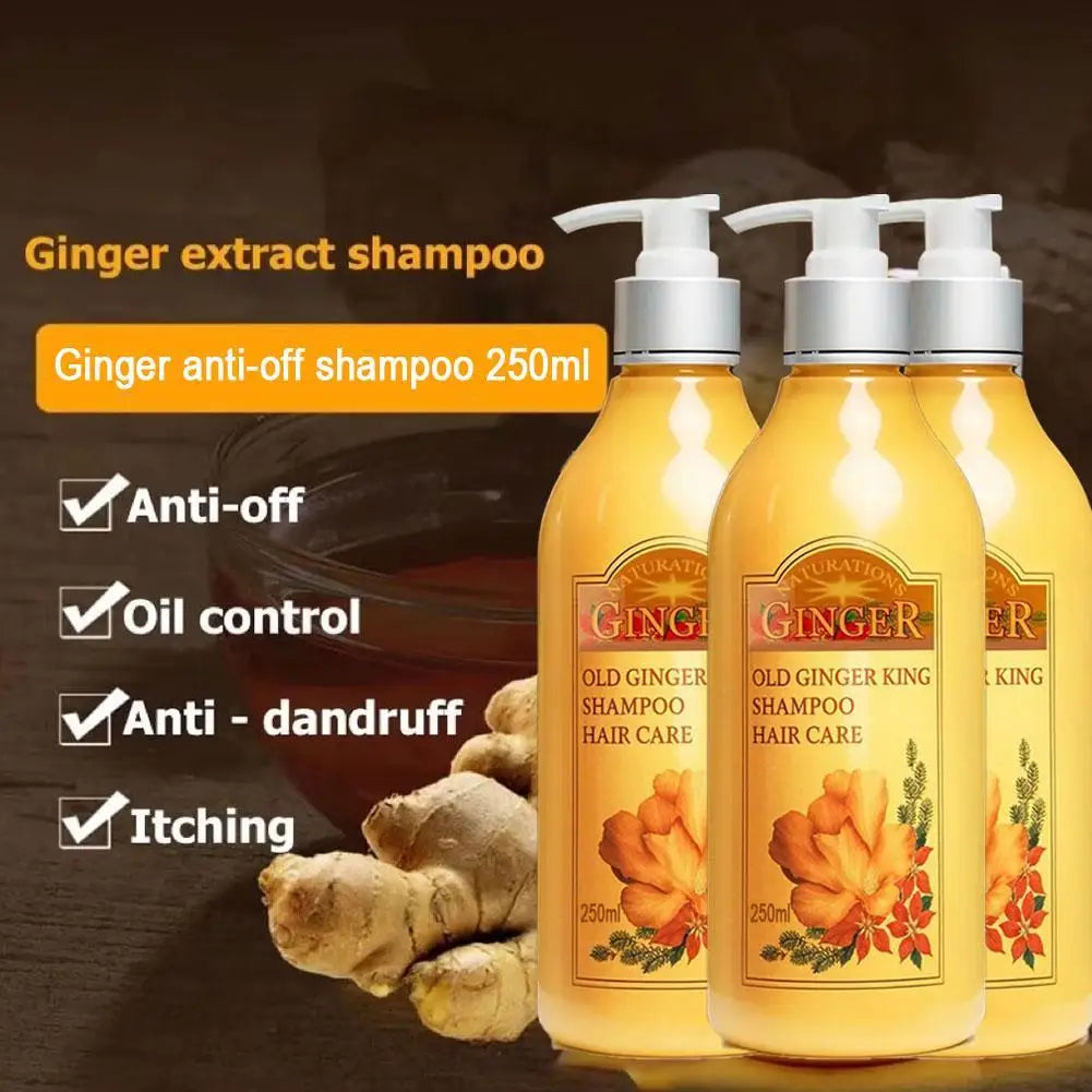 Old Ginger Juice Shampoo – Professional Scalp Treatment 1L Scalp Treatment Shampoo Qme