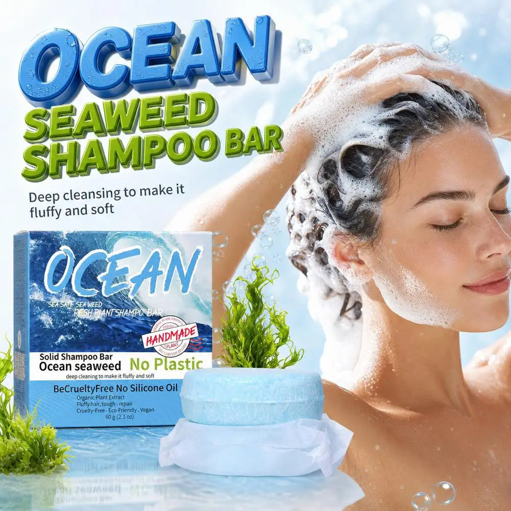 Ocean Seaweed Handmade Shampoo Soap Bar | Qme 1/3/5 Pack Shampoo Soap Bar Qme
