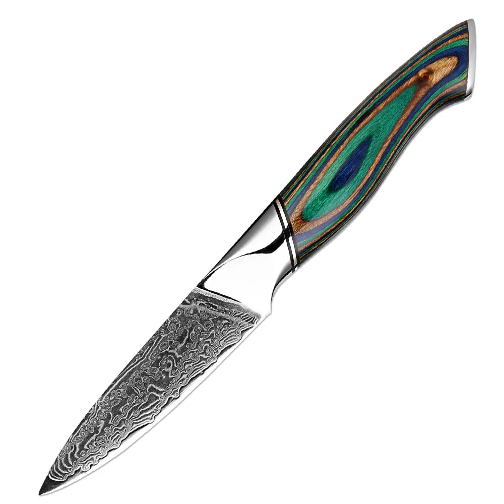 Xituo Damascus Steel Chef Knife Set – Green Wood Handle Chef Knife Set Qst Paring knife