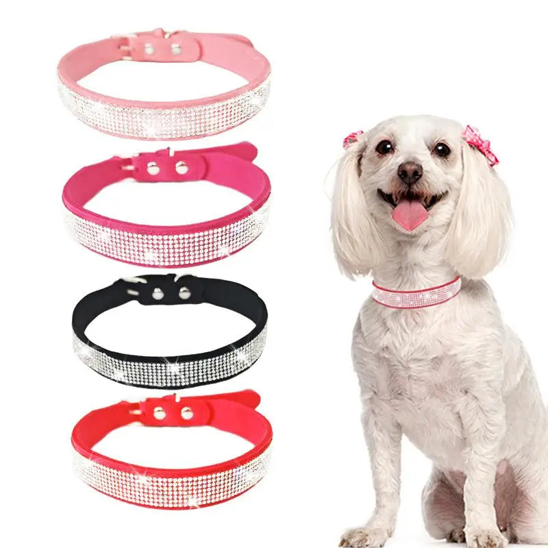 Crystal Glitter Dog Collar | Zinc Alloy Buckle | 7 Colors Pet Collar Qme