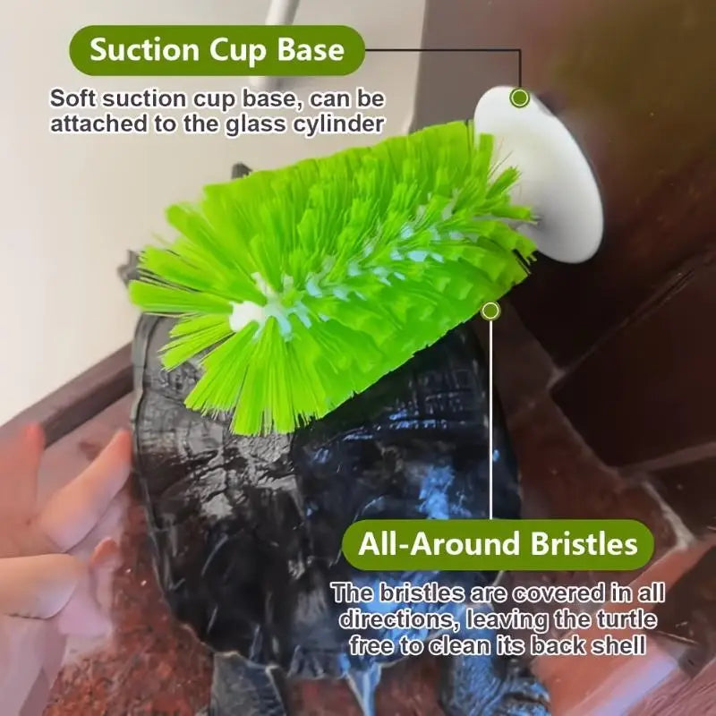 Turtle Shell Cleaning Brush & Feeding Ball – Non-Toxic Plastic Reptile Grooming Tool Qst