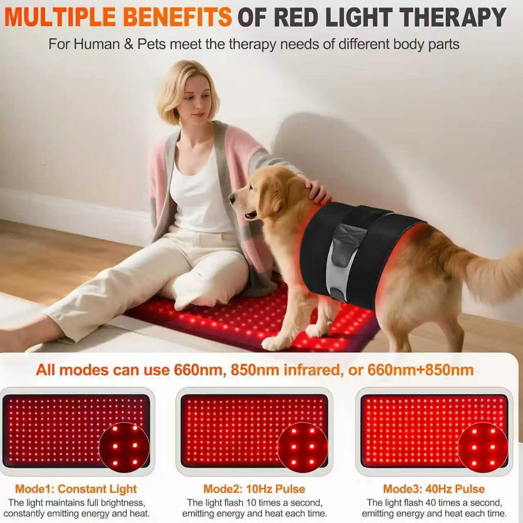 SMARTMAK 242 LED Red Light Therapy Belt 660nm 850nm Wrap Red Light Therapy Belt Qst 30x60CM