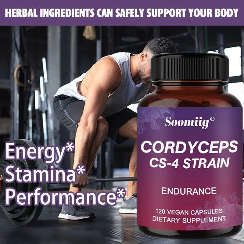 Cordyceps Mushroom Extract Capsules – Energy & Focus Support Mushroom Supplement Qst