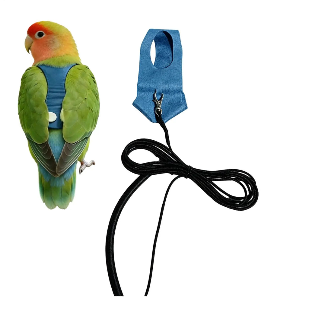 Bird Harness & Training Rope for Parakeets & Small Birds Bird Training Harness Qme