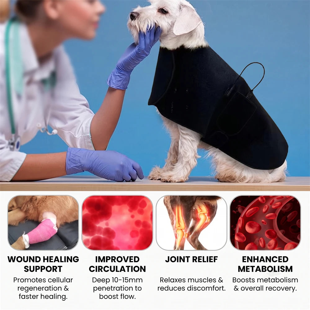 Pet Red Light Therapy Cape 210 LEDs 660nm 850nm Large Dog Pet Therapy Cape Qst