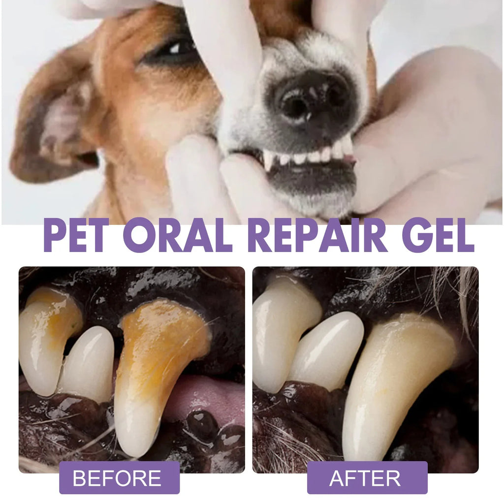 Pet Oral Gel – Dog & Cat Tartar Remover, Teeth Whitener Pet Dental Gel Qme