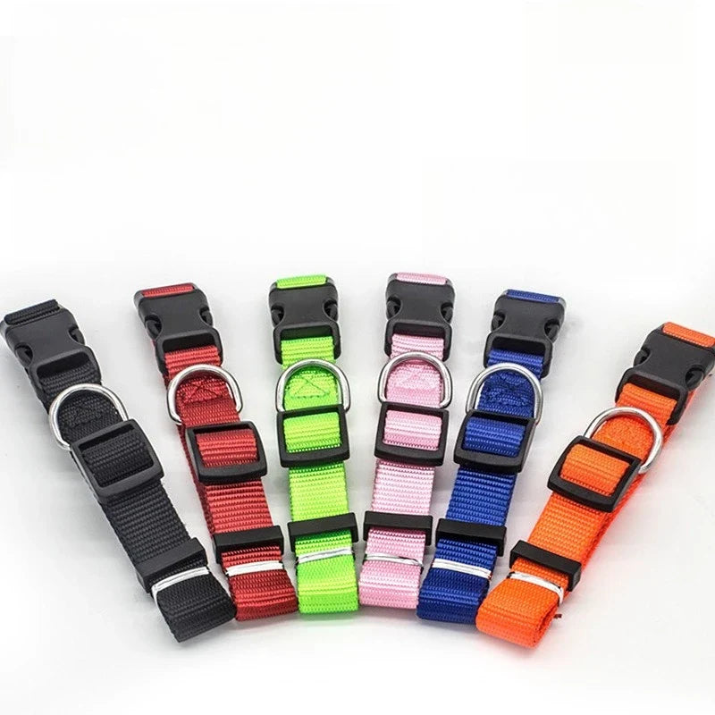Adjustable Nylon Pet Collar for Puppies, Kittens & Small Dogs Pet Collar Qme