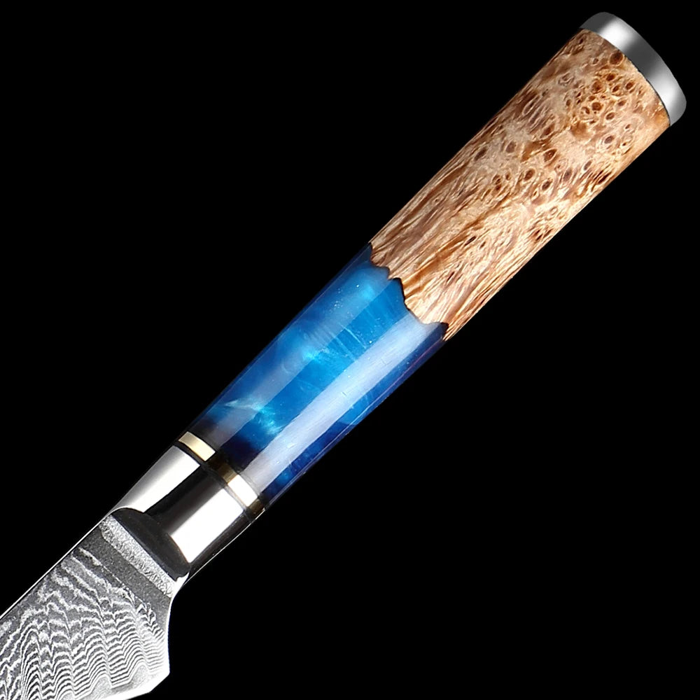 Xituo 5.5" VG10 Damascus Boning Knife – 67-Layer Full Tang Damascus Boning Knife Qst