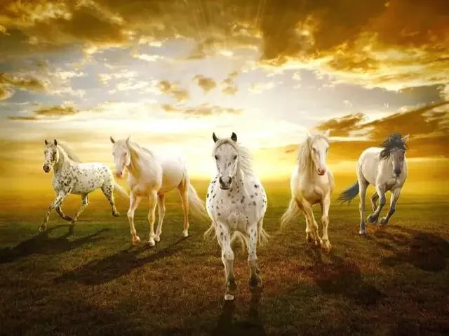 Wild Horse Canvas Wall Art – Modern Animal Poster Print Canvas Wall Art Qst P1 40x50cm Unframed