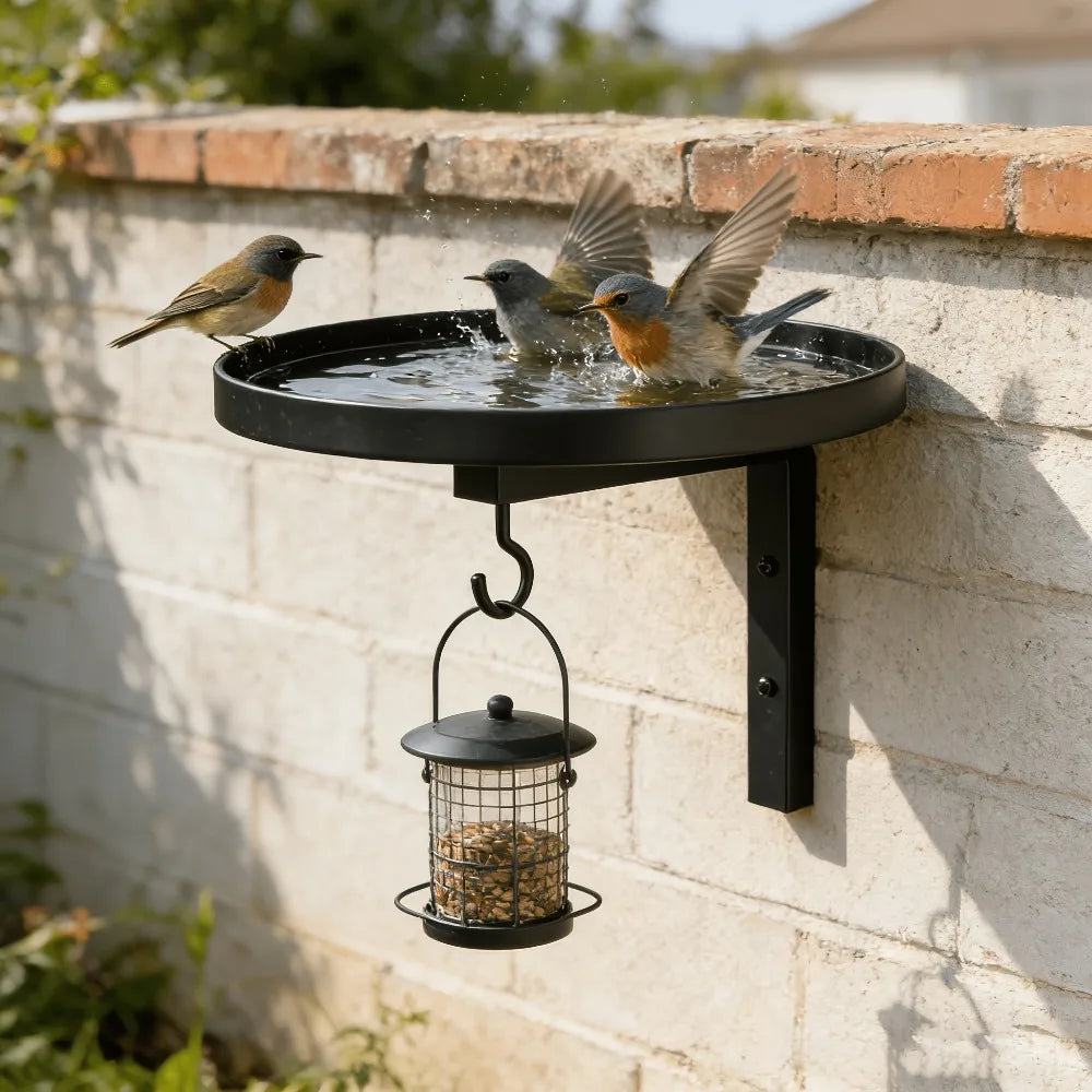3-in-1 Wall Mounted Metal Bird Feeder Bath & Plant Hook | Rustic Wall Mounted Bird Feeder Qme
