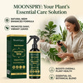 Neem Oil Plant Leaf Spray – Boost Gloss & Cleanse 100ml Plant Leaf Spray Qme 3 x 100ML Boxed
