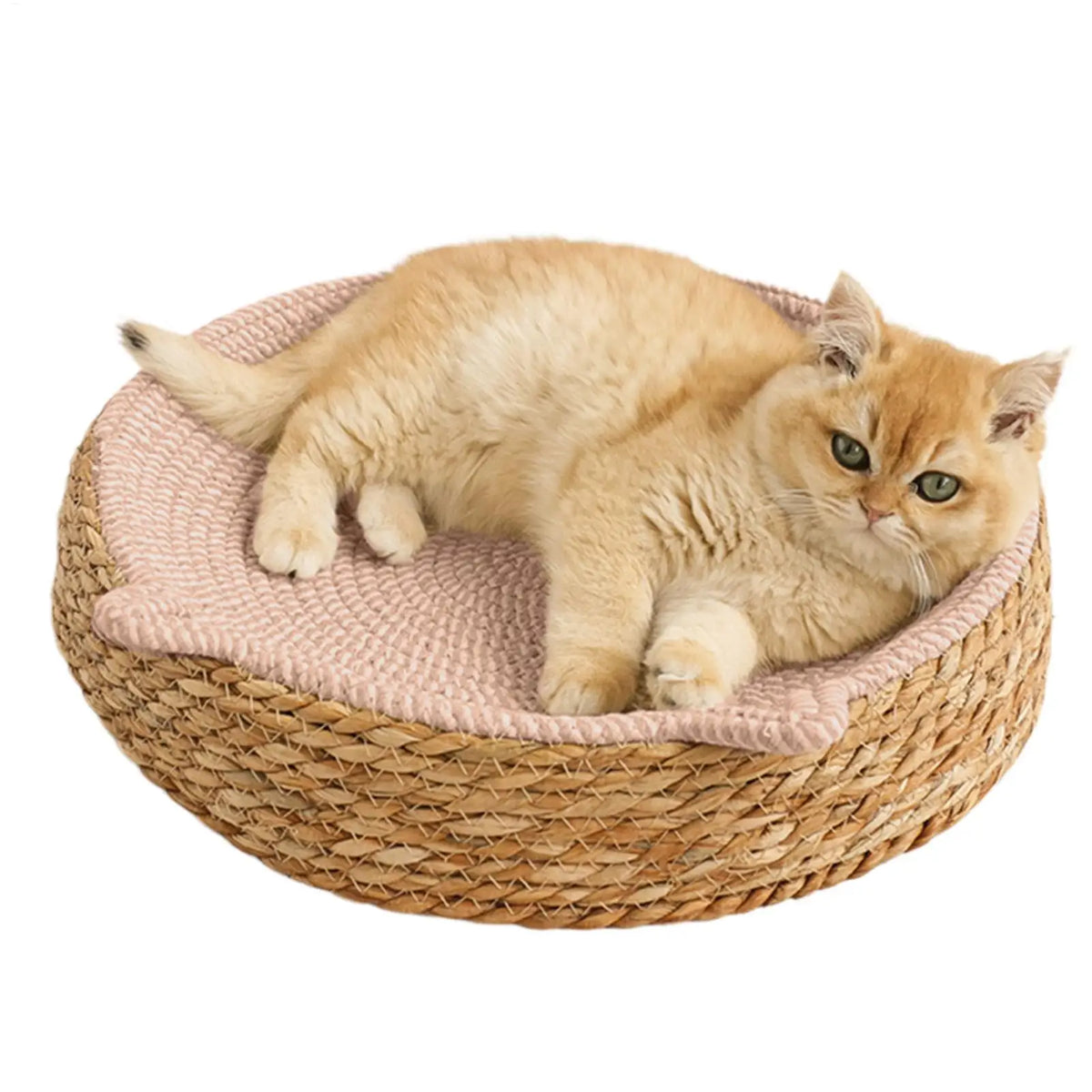 Boho Cotton Rope Cat Scratch Bowl Bed – Kitten Ear Design Cat Scratch Bed Qst